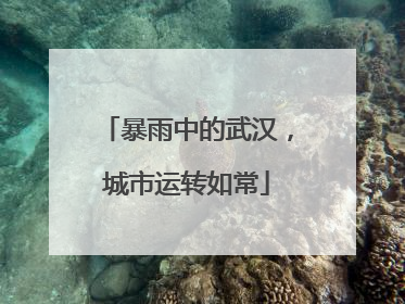 暴雨中的武汉，城市运转如常