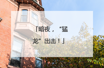 暗夜，“猛龙”出击！