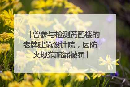 曾参与检测黄鹤楼的老牌建筑设计院，因防火规范疏漏被罚
