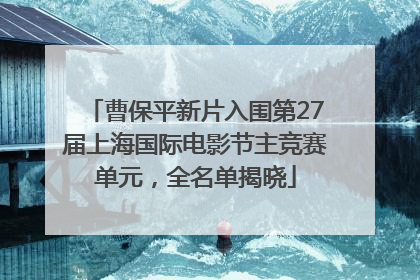 曹保平新片入围第27届上海国际电影节主竞赛单元，全名单揭晓