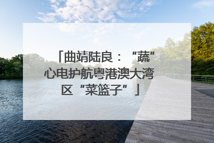 曲靖陆良：“蔬”心电护航粤港澳大湾区“菜篮子”