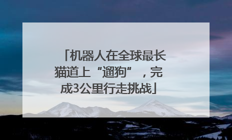 机器人在全球最长猫道上“遛狗”，完成3公里行走挑战