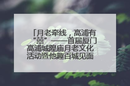 月老牵线，高浦有“囍”——首届厦门高浦城隍庙月老文化活动暨他趣百城见面会隆重举办