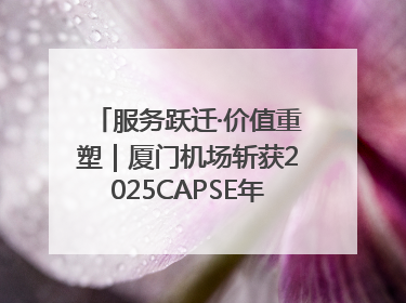 服务跃迁·价值重塑｜厦门机场斩获2025CAPSE年度峰会四项大奖