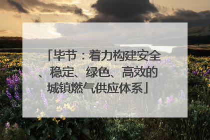 毕节：着力构建安全、稳定、绿色、高效的城镇燃气供应体系