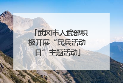 武冈市人武部积极开展“民兵活动日”主题活动