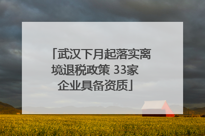 武汉下月起落实离境退税政策 33家企业具备资质