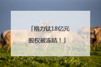 格力钛18亿元股权被冻结！
