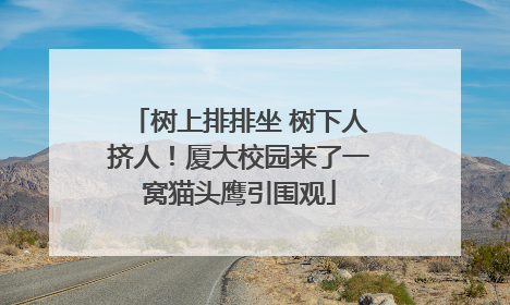 树上排排坐 树下人挤人！厦大校园来了一窝猫头鹰引围观