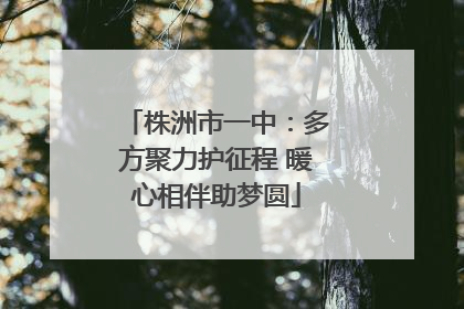 株洲市一中：多方聚力护征程 暖心相伴助梦圆