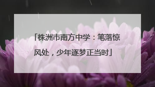 株洲市南方中学：笔落惊风处，少年逐梦正当时