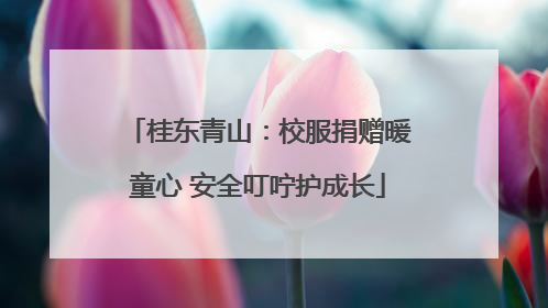 桂东青山：校服捐赠暖童心 安全叮咛护成长
