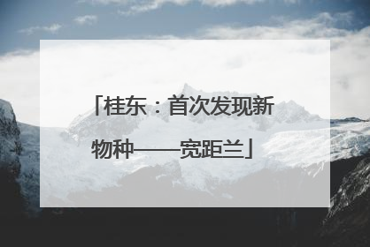 桂东：首次发现新物种——宽距兰