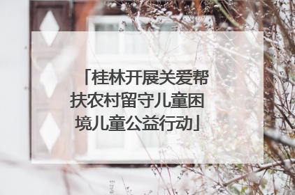 桂林开展关爱帮扶农村留守儿童困境儿童公益行动