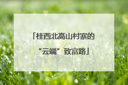 桂西北高山村寨的“云端”致富路