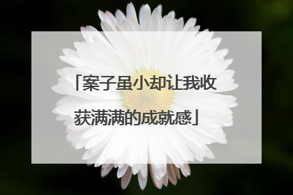 案子虽小却让我收获满满的成就感