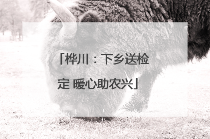 桦川：下乡送检定 暖心助农兴
