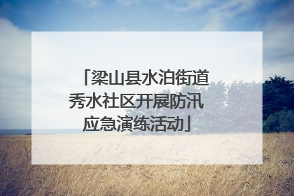 梁山县水泊街道秀水社区开展防汛应急演练活动