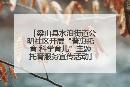 梁山县水泊街道公明社区开展“普惠托育 科学育儿”主题托育服务宣传活动