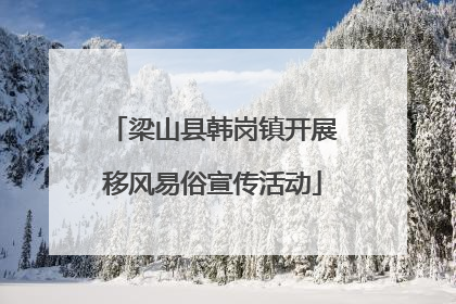 梁山县韩岗镇开展移风易俗宣传活动