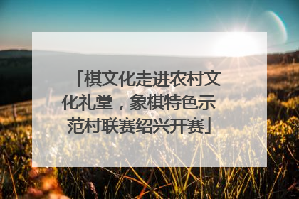 棋文化走进农村文化礼堂，象棋特色示范村联赛绍兴开赛