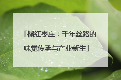 榴红枣庄：千年丝路的味觉传承与产业新生