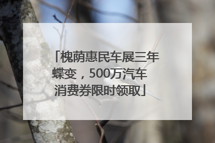 槐荫惠民车展三年蝶变，500万汽车消费券限时领取