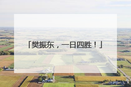 樊振东，一日四胜！