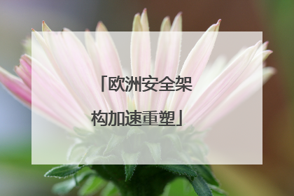 欧洲安全架构加速重塑