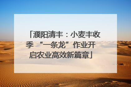 濮阳清丰：小麦丰收季 “一条龙”作业开启农业高效新篇章
