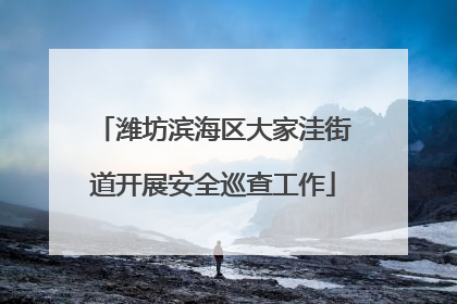 潍坊滨海区大家洼街道开展安全巡查工作