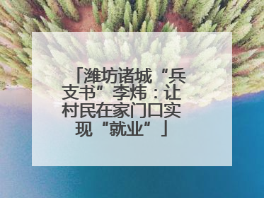 潍坊诸城“兵支书”李炜：让村民在家门口实现“就业”