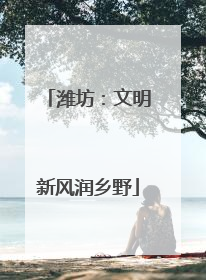 潍坊：文明新风润乡野