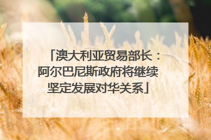 澳大利亚贸易部长：阿尔巴尼斯政府将继续坚定发展对华关系