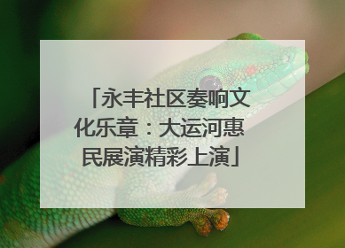 永丰社区奏响文化乐章：大运河惠民展演精彩上演