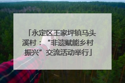 永定区王家坪镇马头溪村：“非遗赋能乡村振兴”交流活动举行