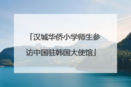 汉城华侨小学师生参访中国驻韩国大使馆
