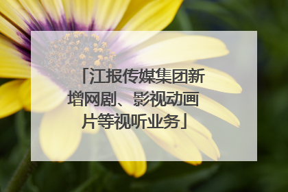 江报传媒集团新增网剧、影视动画片等视听业务
