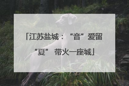 江苏盐城：“音”爱留“夏” 带火一座城