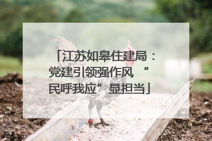 江苏如皋住建局：党建引领强作风 “民呼我应”显担当