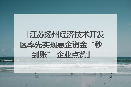 江苏扬州经济技术开发区率先实现惠企资金“秒到账” 企业点赞