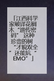 江西科学家破译花榈木“遗传密码” 这种珍贵的树 “才貌双全”还能抗“EMO”
