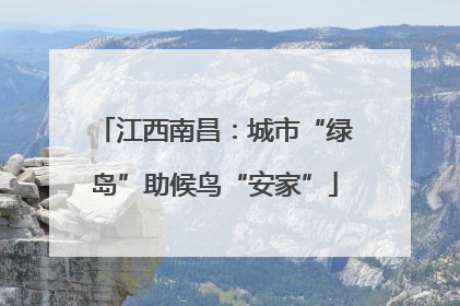 江西南昌：城市“绿岛”助候鸟“安家”