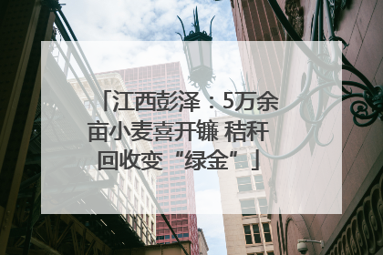 江西彭泽：5万余亩小麦喜开镰 秸秆回收变“绿金”