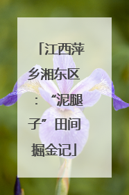 江西萍乡湘东区：“泥腿子”田间掘金记
