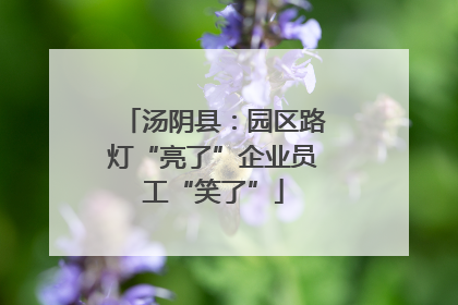 汤阴县：园区路灯“亮了”企业员工“笑了”