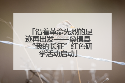 沿着革命先烈的足迹再出发——桑植县“我的长征”红色研学活动启动