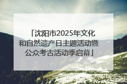 沈阳市2025年文化和自然遗产日主题活动暨公众考古活动季启幕