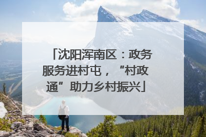 沈阳浑南区：政务服务进村屯，“村政通”助力乡村振兴
