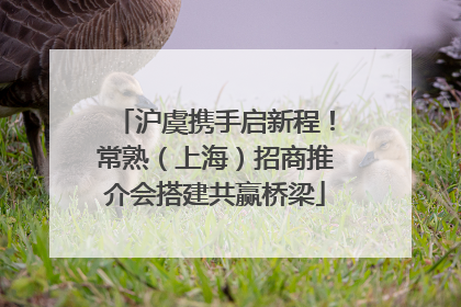 沪虞携手启新程！常熟（上海）招商推介会搭建共赢桥梁
